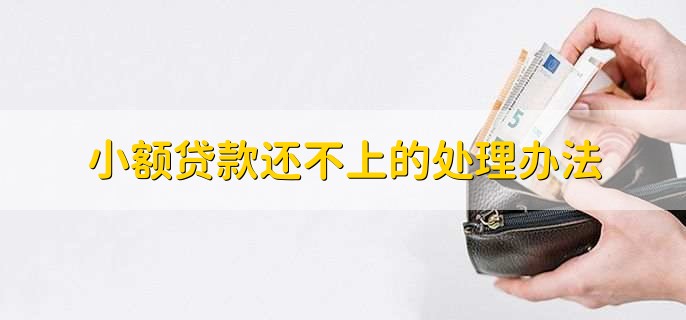 小额贷款还不上的处理办法,与贷款机构协商延期还款