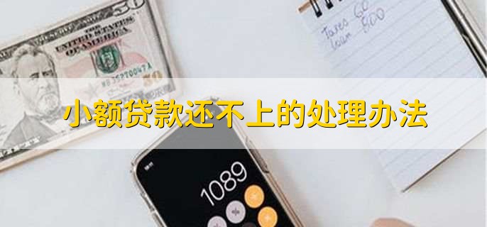 小额贷款还不上的处理办法,与贷款机构协商延期还款
