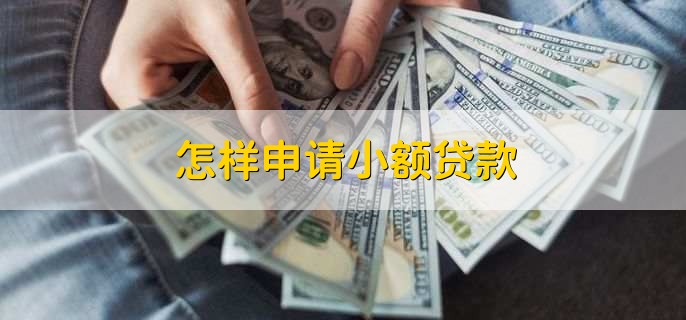 怎样申请小额贷款,有以下两种方法