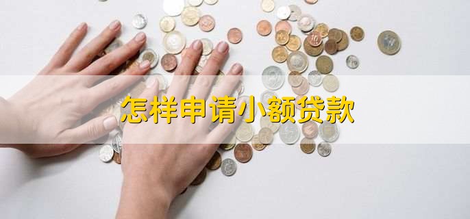 怎样申请小额贷款,有以下两种方法