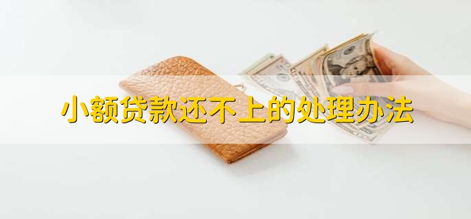 小额贷款还不上的处理办法,与贷款机构协商延期还款