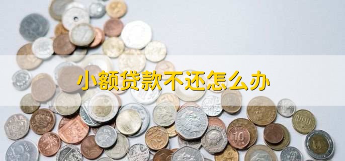 小额贷款不还怎么办,和银行或者贷款机构进行协商