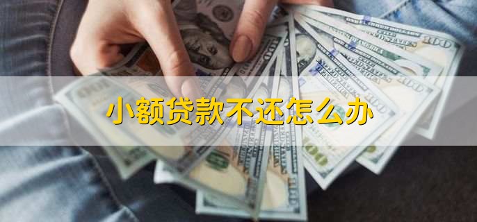小额贷款不还怎么办,和银行或者贷款机构进行协商