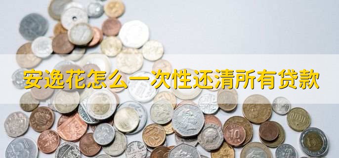 安逸花怎么一次性还清所有贷款,有以下两种方法
