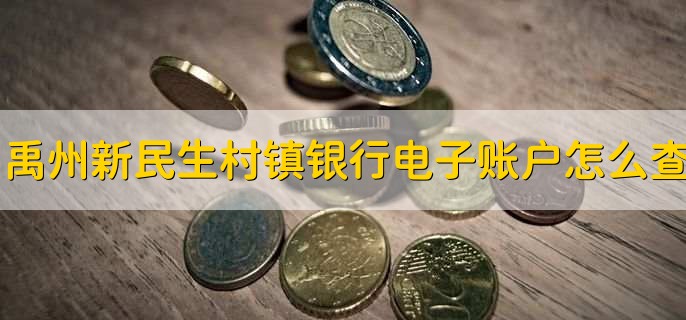 禹州新民生村镇银行电子账户怎么查