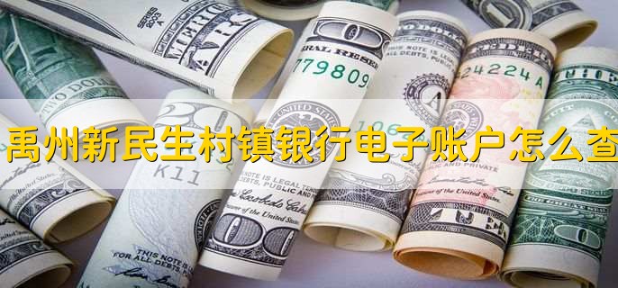 禹州新民生村镇银行电子账户怎么查,有以下三步流程