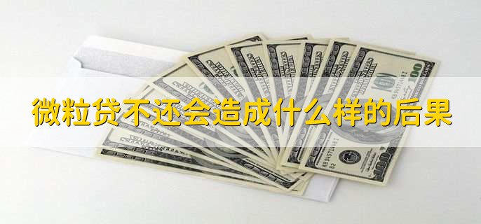 微粒贷不还会造成什么样的后果