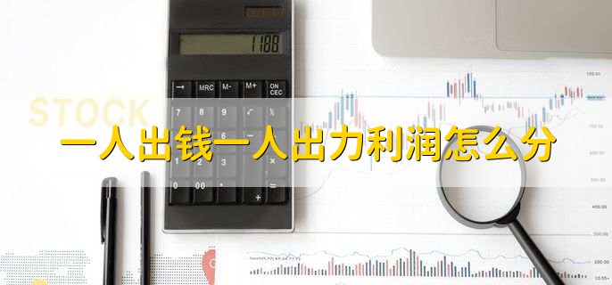 一人出钱一人出力利润怎么分