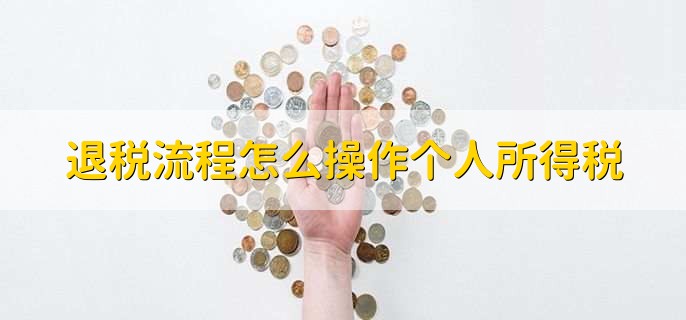 退税流程怎么操作个人所得税,分以下五步