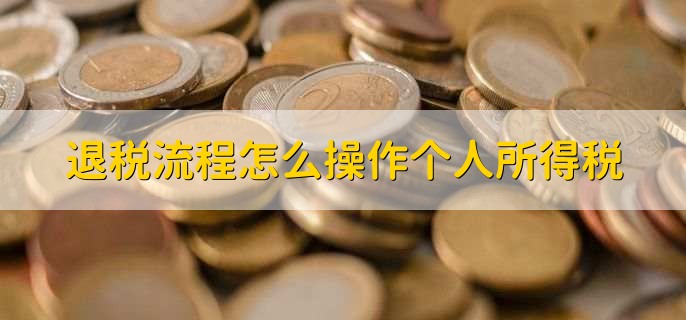 退税流程怎么操作个人所得税,分以下五步