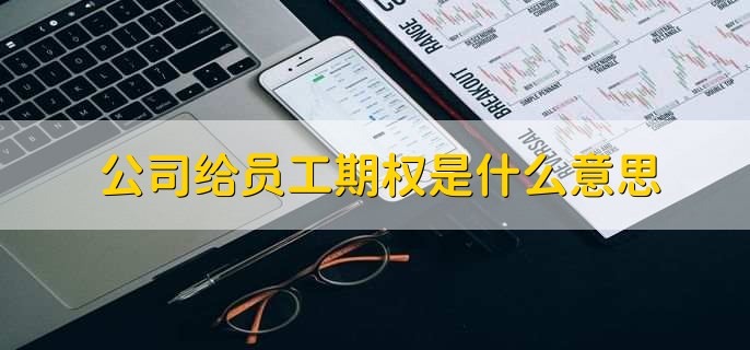 公司给员工期权是什么意思