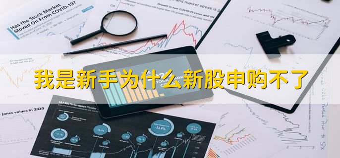 我是新手为什么新股申购不了,没有股票市值