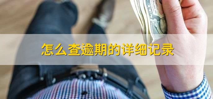 怎么查逾期的详细记录