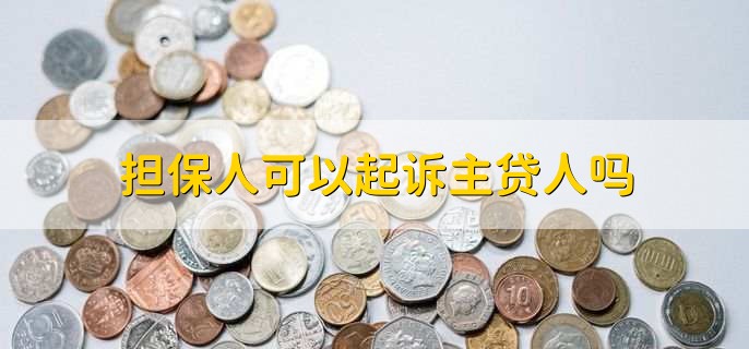 担保人可以起诉主贷人吗,可以