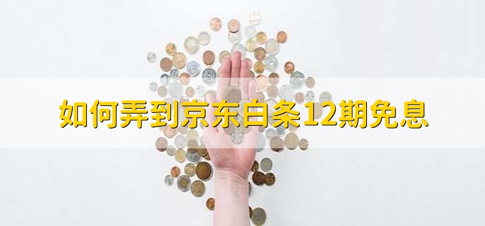 如何弄到京东白条12期免息,白条额度出现负数咋回事