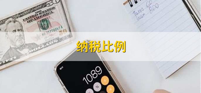纳税比例