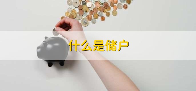 什么是储户