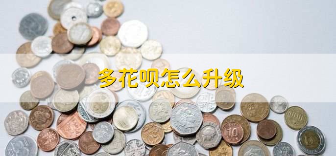 多花呗怎么升级,分以下四点