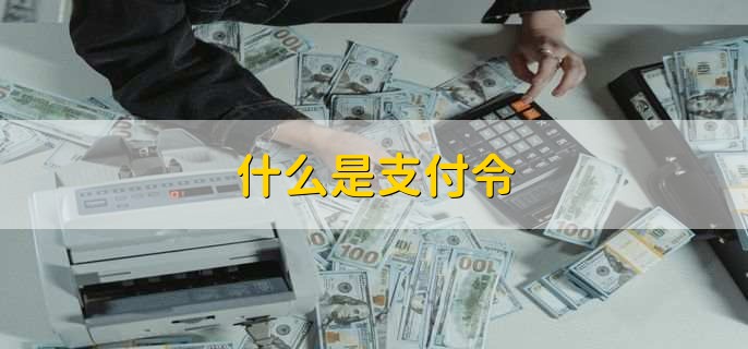 什么是支付令