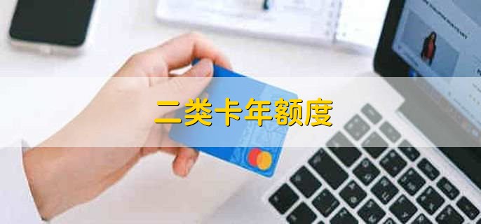 二类卡年额度