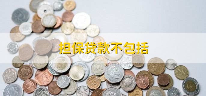 担保贷款不包括