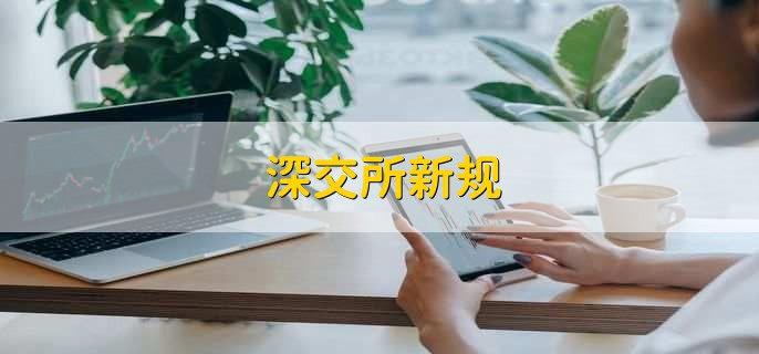 深交所新规