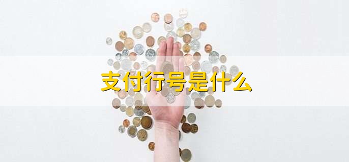 支付行号是什么