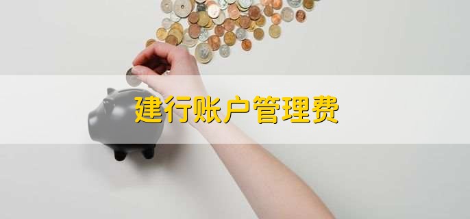 建行账户管理费