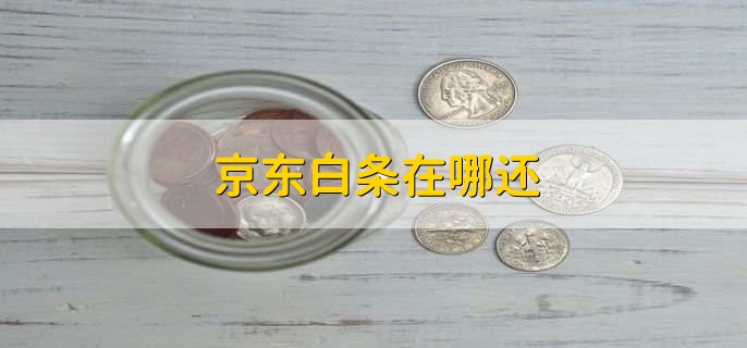 京东白条在哪还