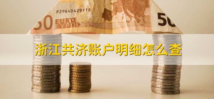 浙江共济账户明细怎么查