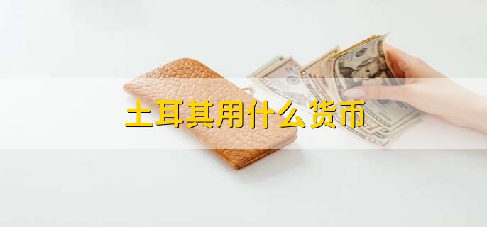 土耳其用什么货币
