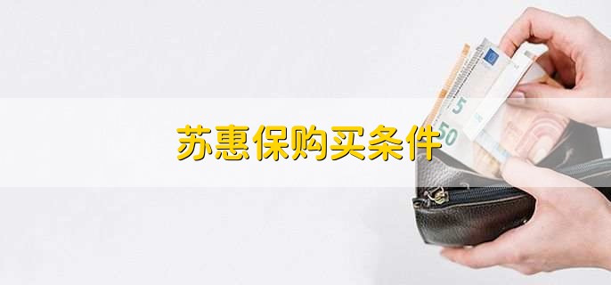 苏惠保购买条件