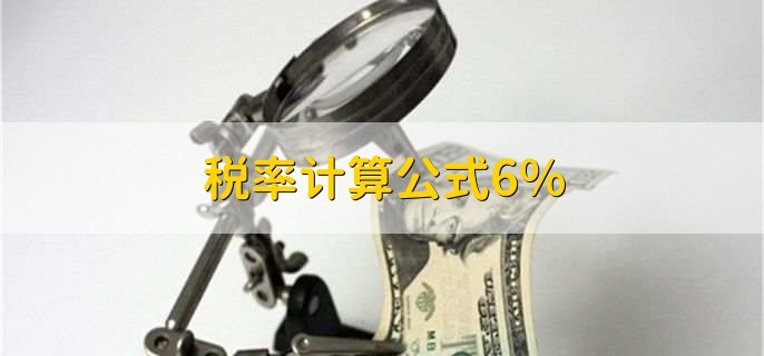 税率计算公式6%