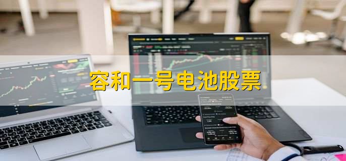 容和一号电池股票