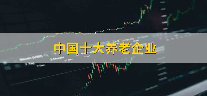中国十大养老企业