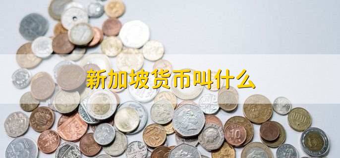 新加坡货币叫什么