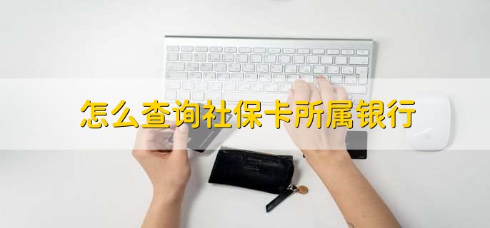 怎么查询社保卡所属银行