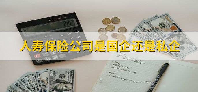 人寿保险公司是国企还是私企