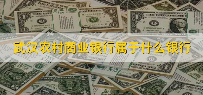 武汉农村商业银行属于什么银行