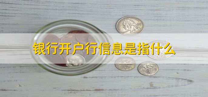 银行开户行信息是指什么