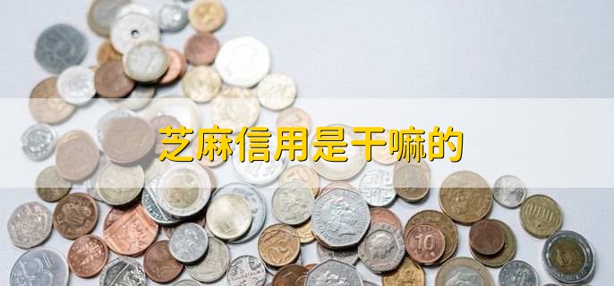 芝麻信用是干嘛的