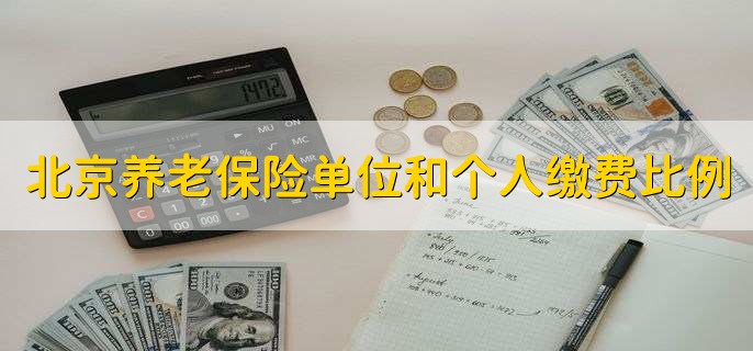 北京养老保险单位和个人缴费比例