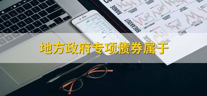 地方政府专项债券属于