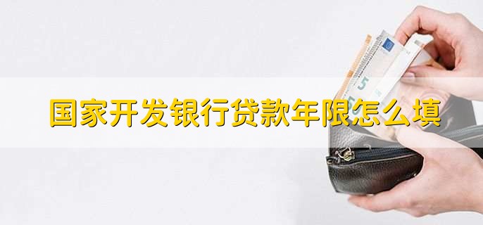 国家开发银行贷款年限怎么填