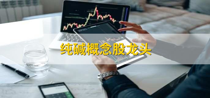 纯碱概念股龙头