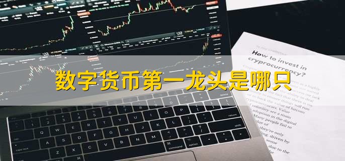 数字货币第一龙头是哪只