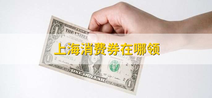 上海消费券在哪领