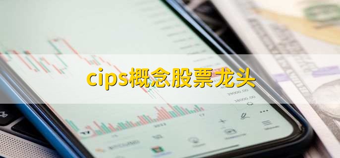 cips概念股票龙头