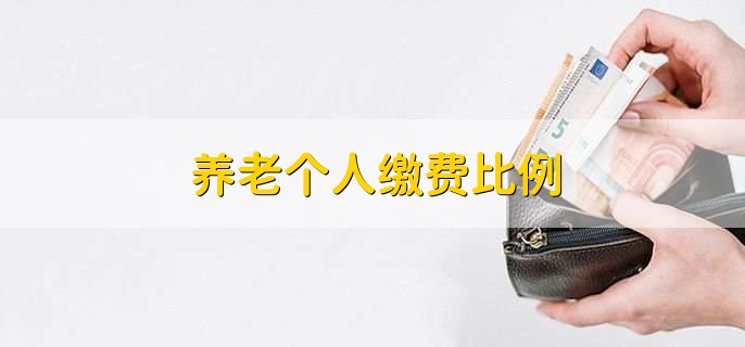 养老个人缴费比例
