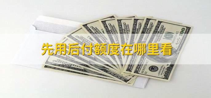 先用后付额度在哪里看